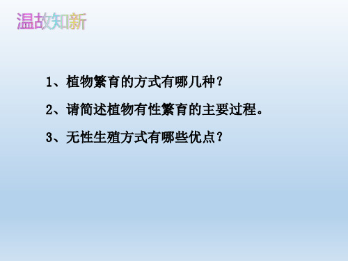 人教版八年级生物 下册 第七单元  昆虫的生殖和发育 课件