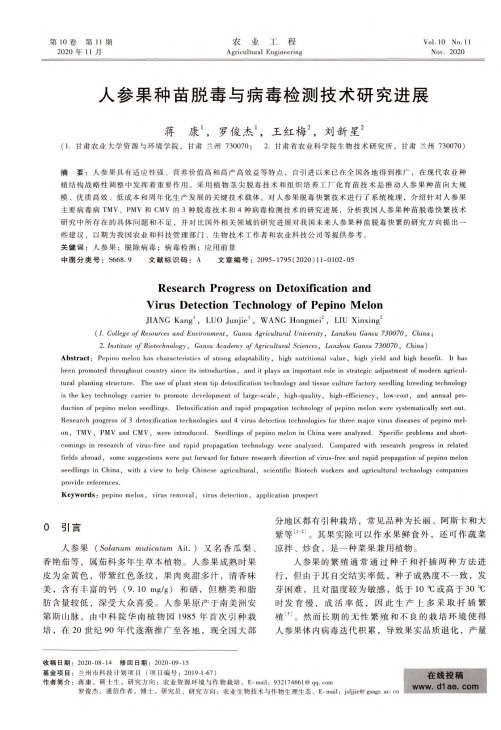 人参果种苗脱毒与病毒检测技术研究进展