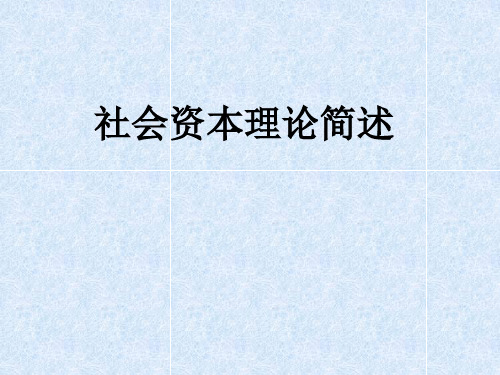 社会资本理论简述ppt课件