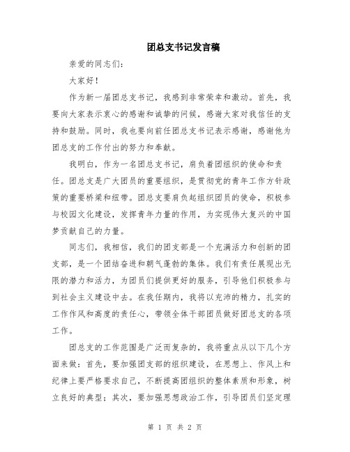 团总支书记发言稿