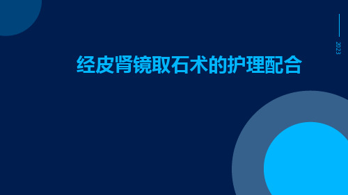 经皮肾镜取石术的护理配合内容提要ppt课件