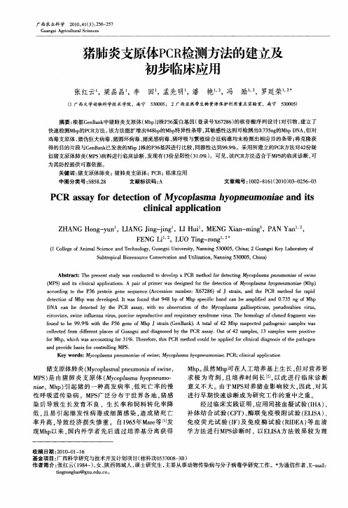 猪肺炎支原体PCR检测方法的建立及初步临床应用