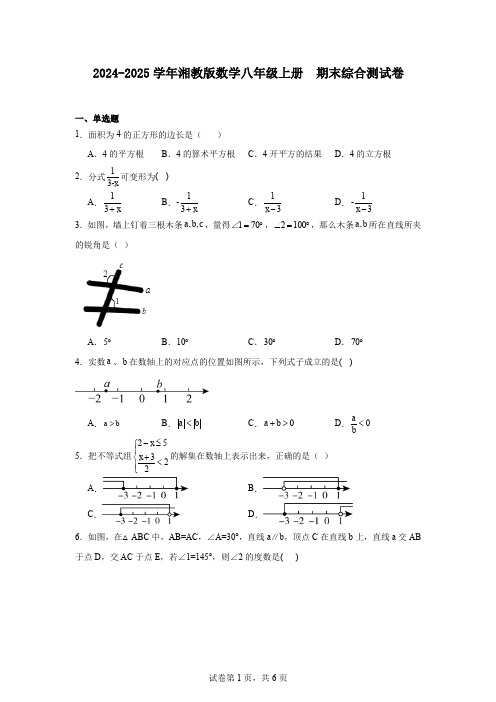 2024-2025学年湘教版数学八年级上册期末综合测试卷