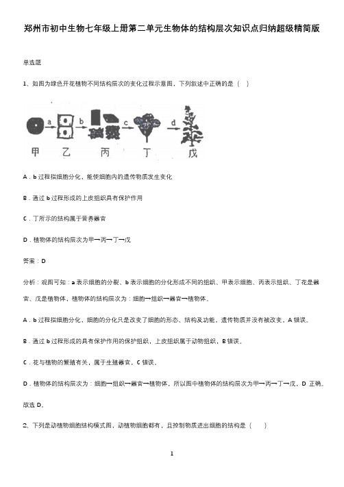 郑州市初中生物七年级上册第二单元生物体的结构层次知识点归纳超级精简版