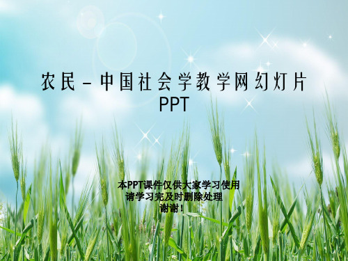 农民 - 中国社会学教学网幻灯片PPT