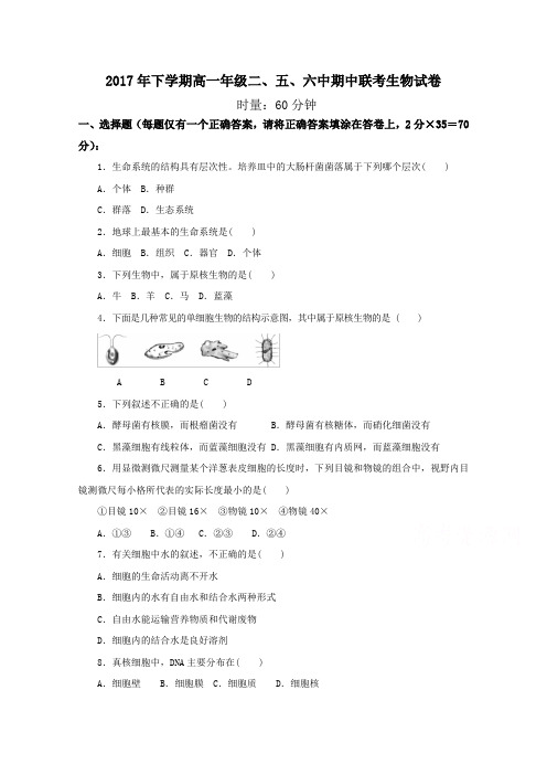 湖南省浏阳二中、五中、六中三校2017-2018学年高一期中联考生物试卷 含答案 精品