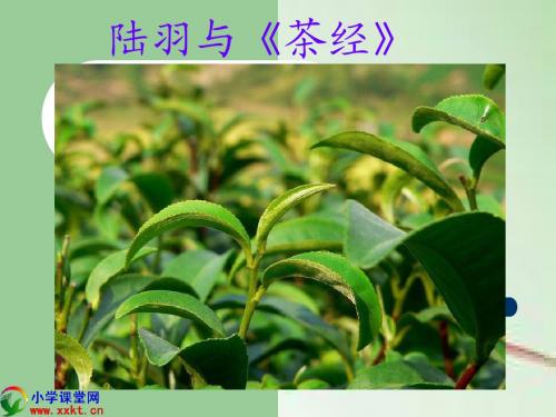 陆羽与茶经课件