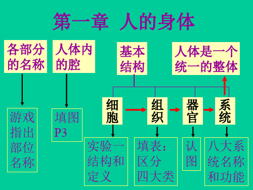 人体生理卫生1_PPT幻灯片