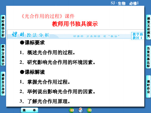 苏教版高中生物必修1课件光合作用的过程课件6