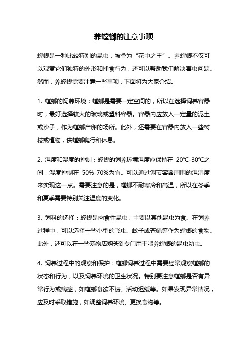 养螳螂的注意事项