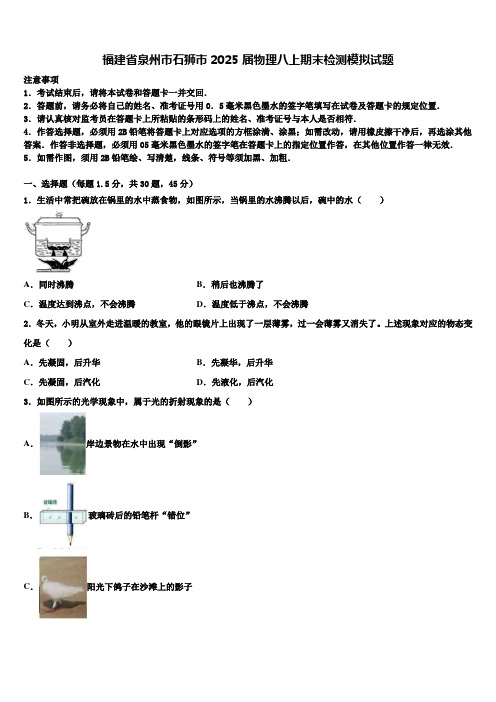 福建省泉州市石狮市2025届物理八上期末检测模拟试题含解析