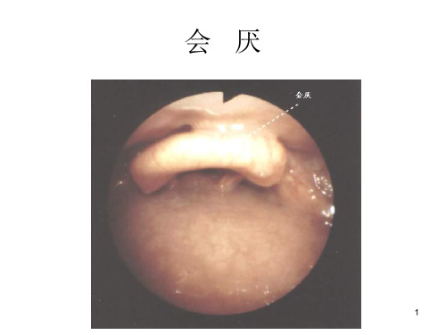 精选纤维支气管镜图谱