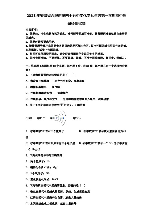 2023年安徽省合肥市第四十五中学化学九年级第一学期期中质量检测试题含解析