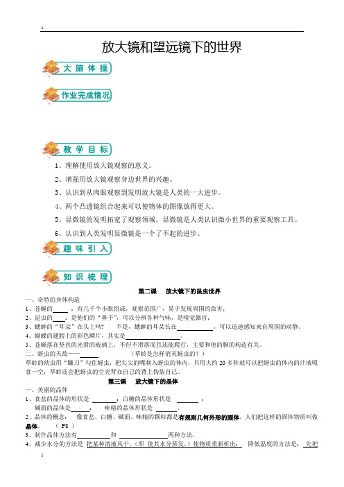 教科版小学科学六年级下册科学第一单元放大镜和望远镜(学生版)