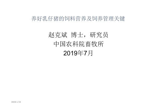 养好乳仔猪的饲料营养及饲养管理关键-PPT精选