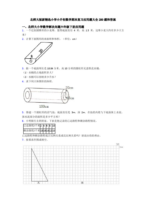 北师大版新精选小学小升初数学期末复习应用题大全280题和答案