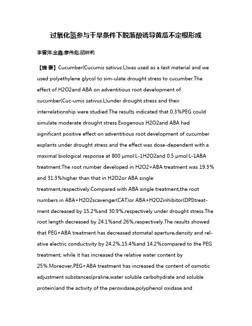 过氧化氢参与干旱条件下脱落酸诱导黄瓜不定根形成