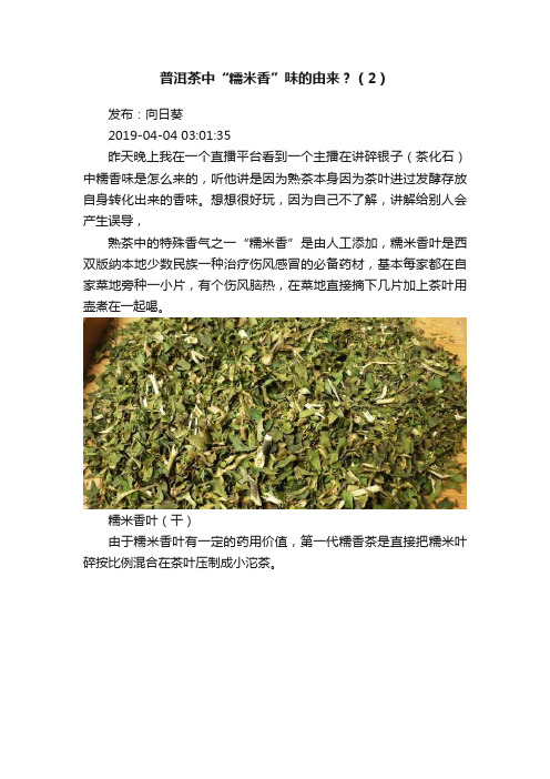 普洱茶中“糯米香”味的由来？（2）