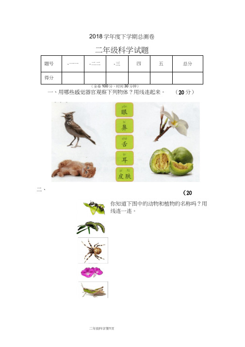 教科版2018年度下学期二年级科学期末测试卷t