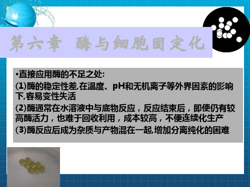 《酶的固定化》PPT课件