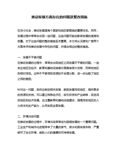 推动发展方面存在的问题及整改措施