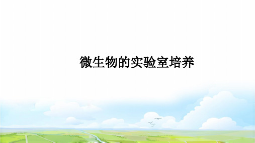 高中生物选修1课件14：2.1 微生物的实验室培养