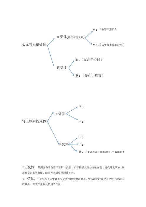 受体阻滞剂