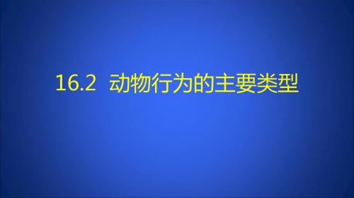 北师大版生物八年级上册16.2《动物行为的主要类型》课件(共56张PPT)