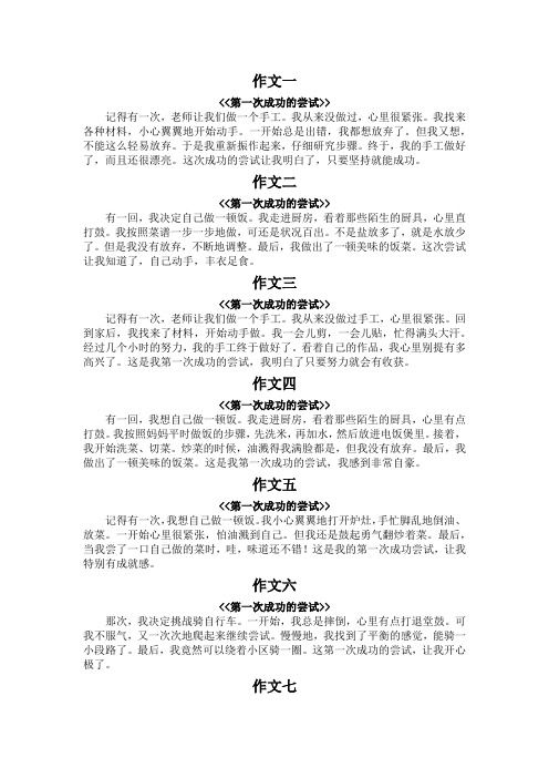 第一次成功的尝试作文100字