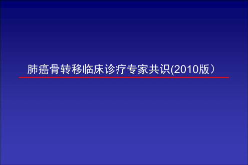 肺癌骨转移临床诊疗专家共识2010PPT课件