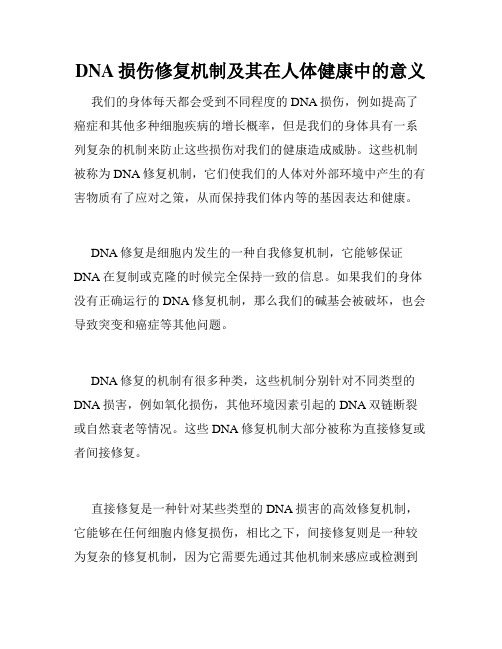 DNA损伤修复机制及其在人体健康中的意义