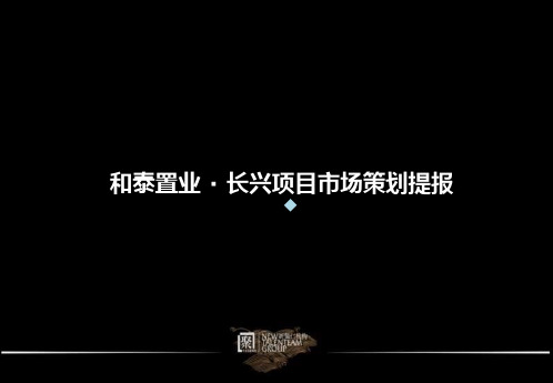 和泰置业长兴项目市场策划提报