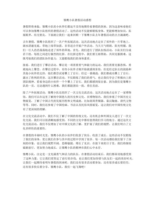 雏鹰小队暑假活动感想