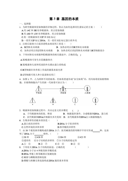 第3章 基因的本质 周清试卷