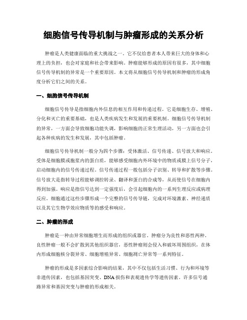 细胞信号传导机制与肿瘤形成的关系分析