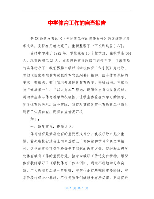 中学体育工作的自查报告