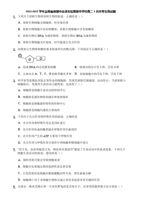 2022-2023学年云南省曲靖市会泽实验高级中学校高二3月月考生物试题