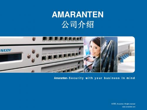 Amaranten网络安全解决方案