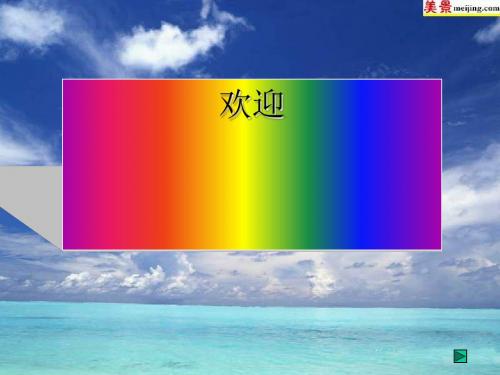 建设有中国特色的社会主义经济