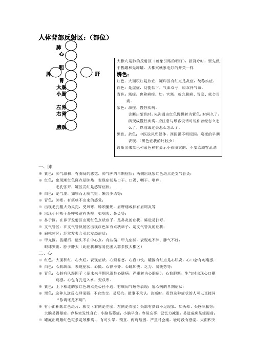 人体背部反射区