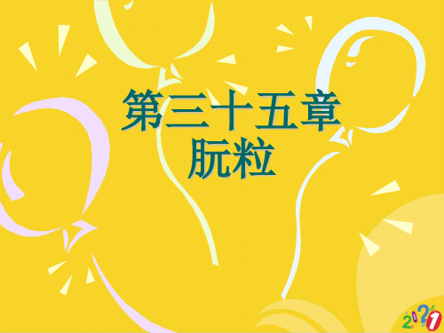 医学微生物学 第章 朊粒标准版资料