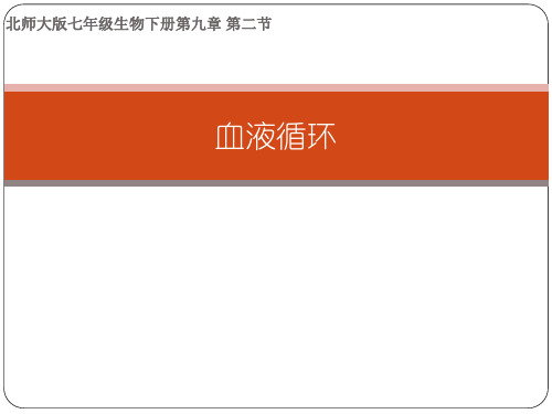 北师大版七年级生物下册优质课件《血液循环》