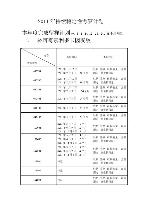 持续稳定性考察计划