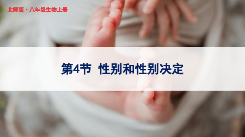 《性别和性别决定》PPT课件 北师版生物