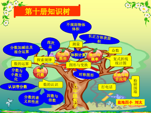 (完整版)五年级数学上、下册知识树