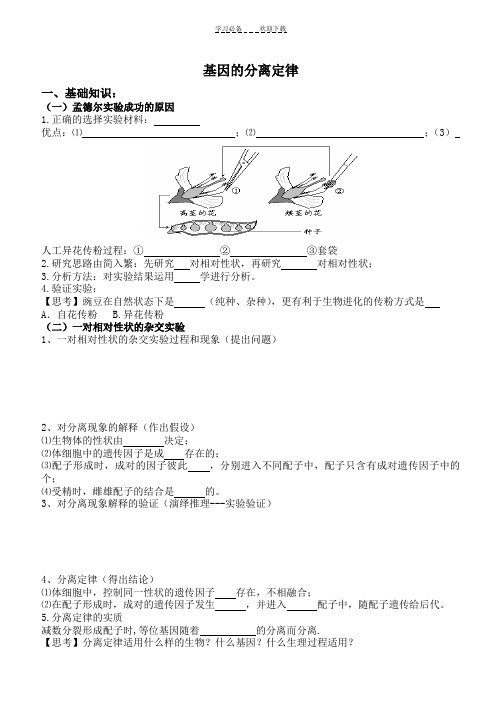 基因的分离定律一轮复习导学案