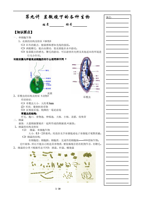 初中生物 显微镜下的各种生物