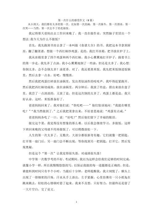 第一次什么的感受作文(9篇)