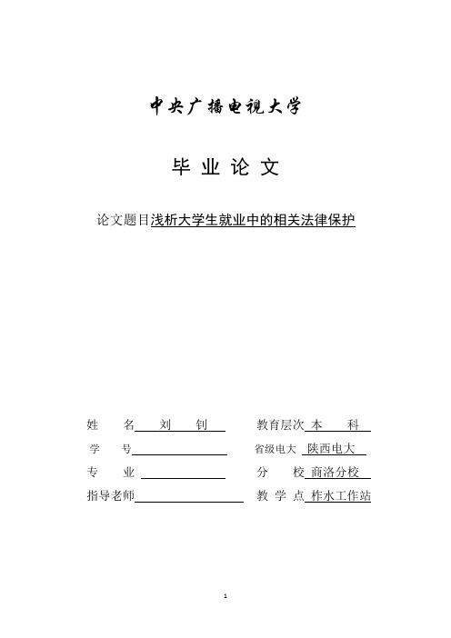 浅析大学生就业的法律保护