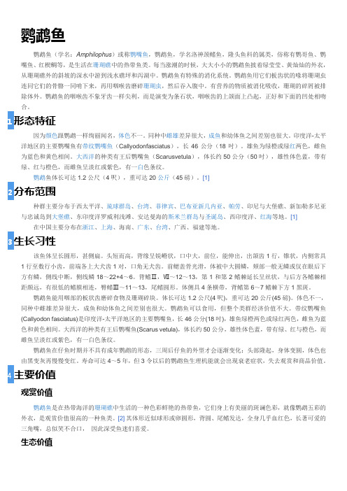 鹦鹉鱼